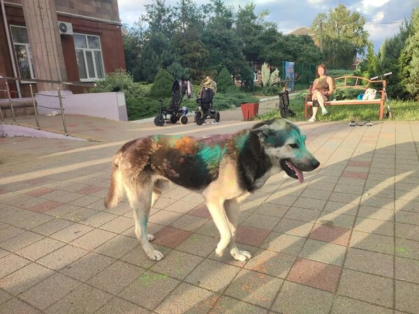 День молодежи в хуторе Железный